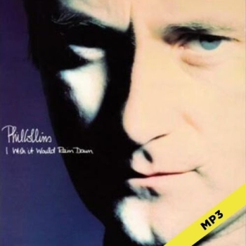 I Wish It Would Rain Down  - Phil Collins